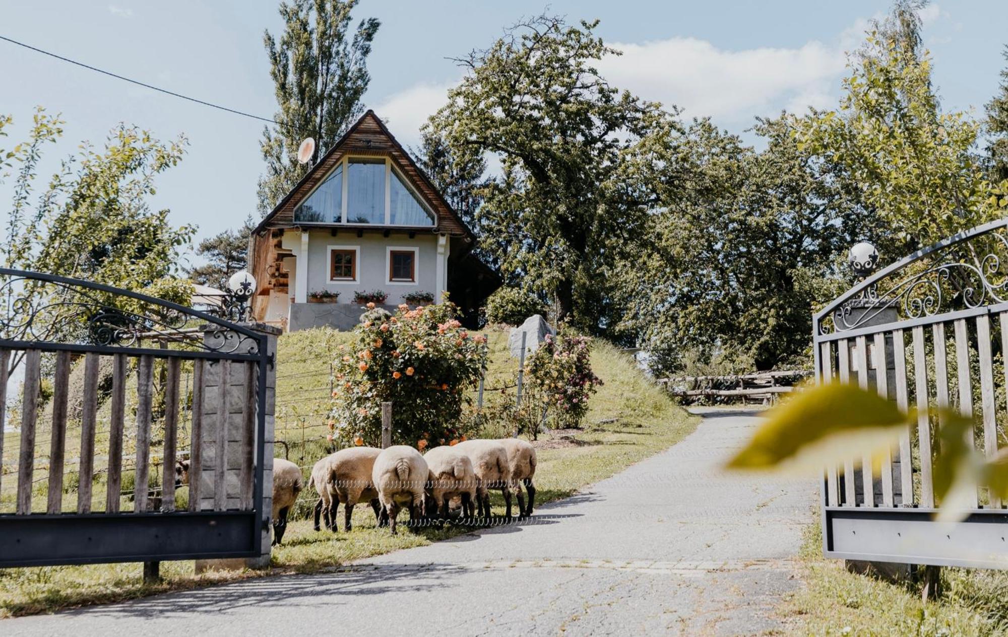 Ferienhaus Am Herbsthof Leutschach Luaran gambar