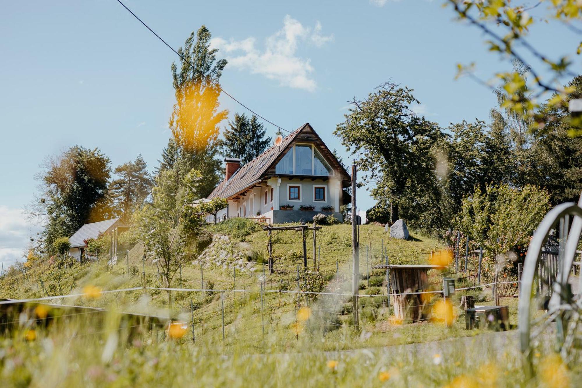 Ferienhaus Am Herbsthof Leutschach Luaran gambar