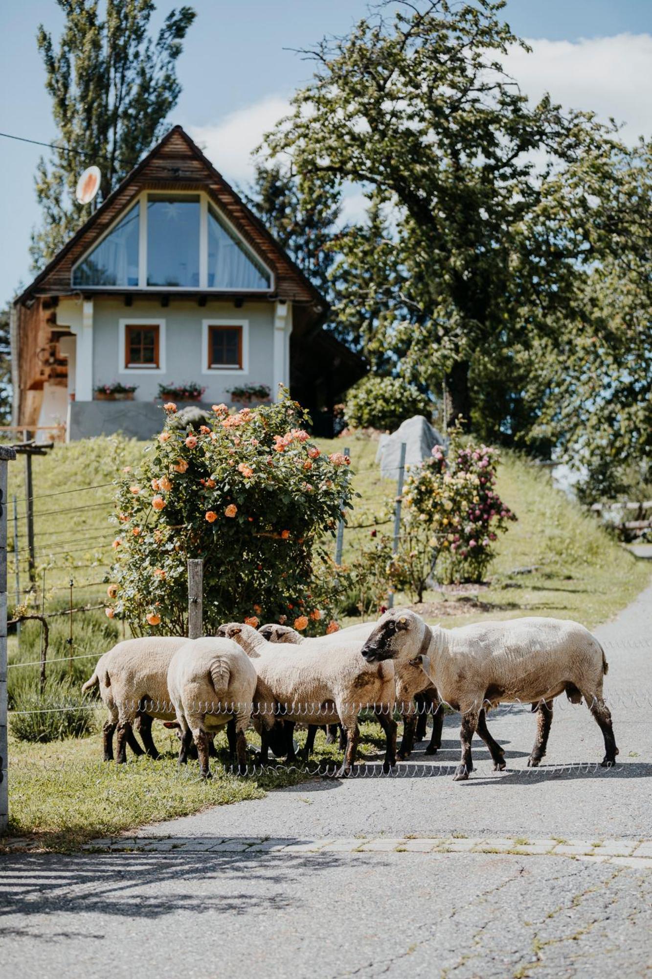 Ferienhaus Am Herbsthof Leutschach Luaran gambar