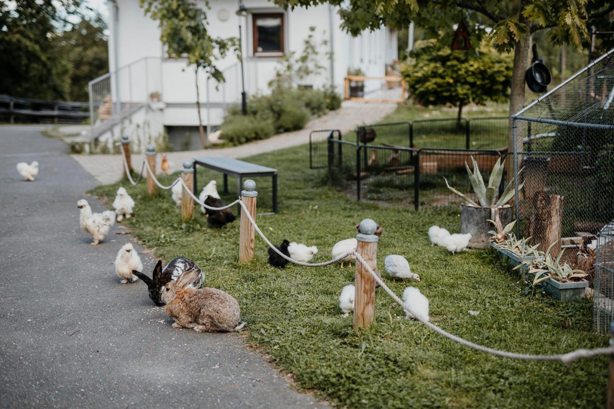 Ferienhaus Am Herbsthof Leutschach Luaran gambar